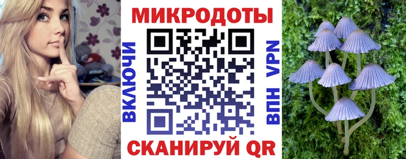 KRAKEN как войти  Ачхой-Мартан  Галлюциногенные грибы Cubensis 
